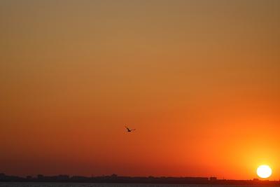 Прикрепленное изображение: IMG_1337_hf.jpg